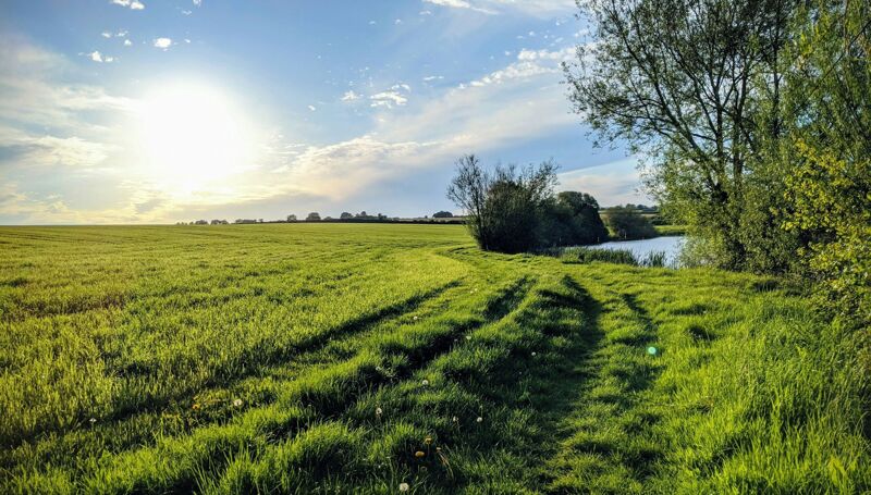 D of E Silver Expedition