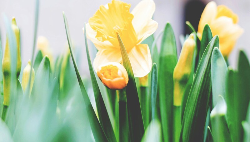 This week in our school community:  3 April 2025