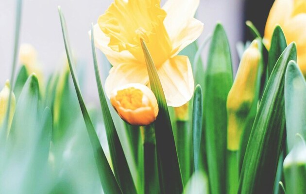 This week in our school community:  3 April 2025