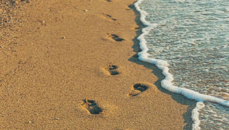 This week in our school community:  9 May 2025