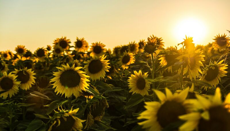 This week in our school community:  18 July 2025