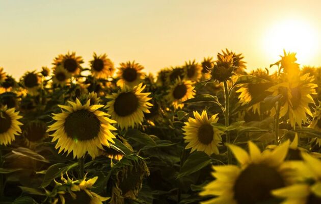 This week in our school community:  18 July 2025