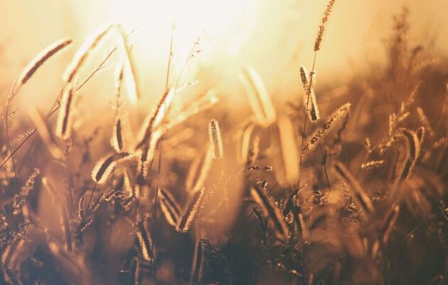 This week in our school community:  26 September 2025