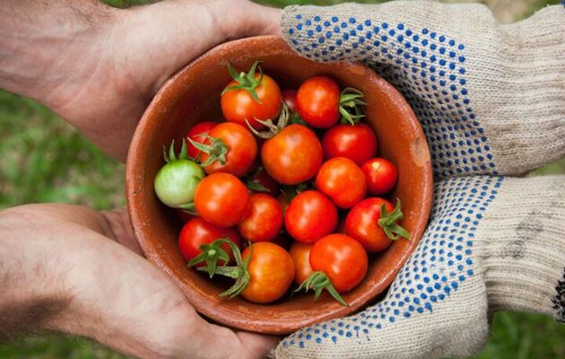 This week in our school community:  26 September 2025