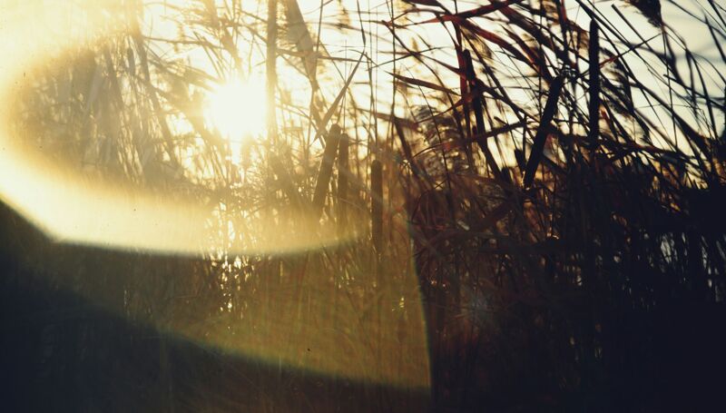 This week in our school community:  9 January 2026