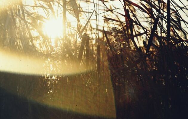 This week in our school community:  9 January 2026