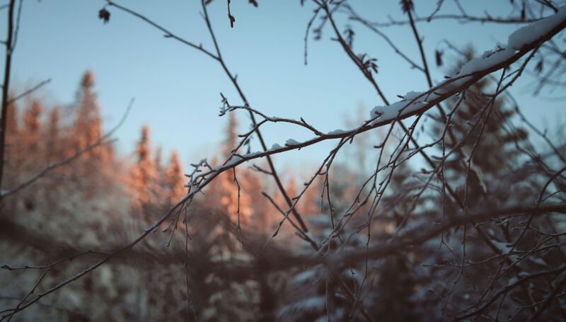 This week in our school community: 16 January 2026