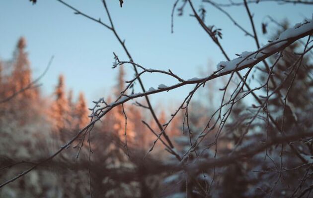 This week in our school community: 16 January 2026