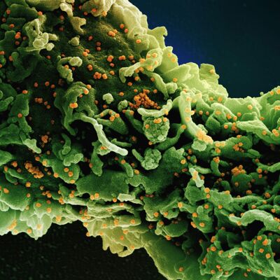 Biology